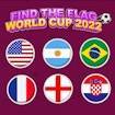 Find The Flag World Cup